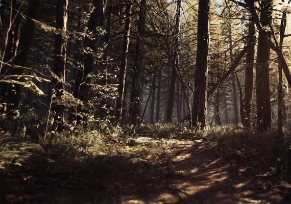 Blair Witch EU screenshot 4