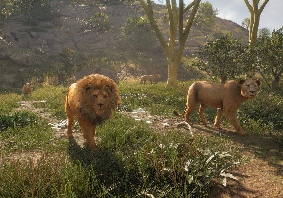 theHunter: Call of the Wild - Vurhonga Savanna DLC EN EU screenshot 2