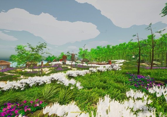 Ronin: Two Souls One Body EN/TR Global screenshot 2