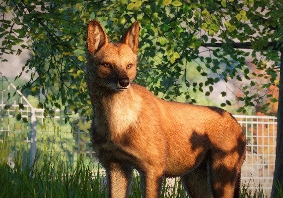 Planet Zoo - Southeast Asia Animal Pack DLC Global screenshot 3