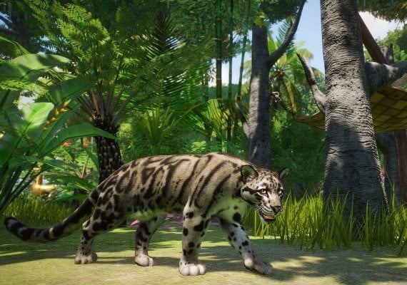 Planet Zoo - Southeast Asia Animal Pack DLC Global screenshot 4