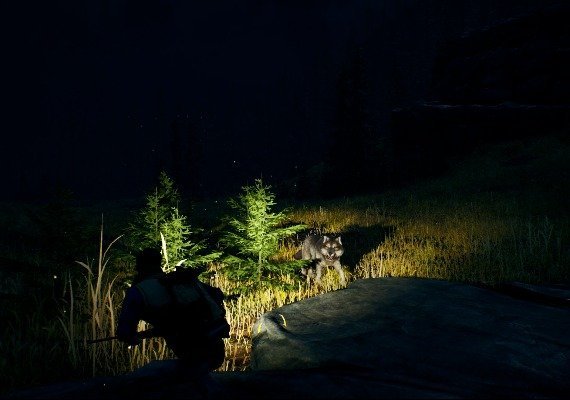 Open Country Global screenshot 3