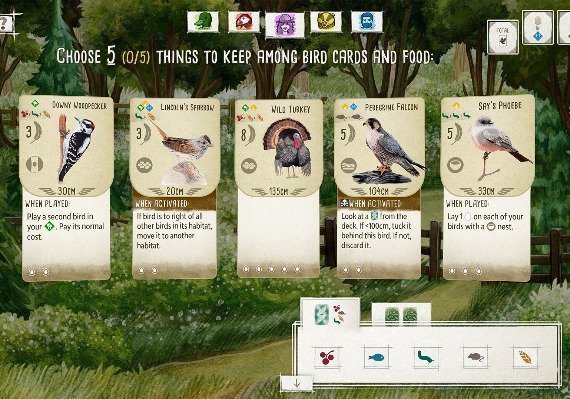 Wingspan EN EU screenshot 3