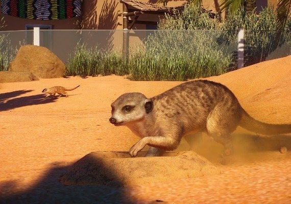 Planet Zoo - Africa Pack DLC Global screenshot 2