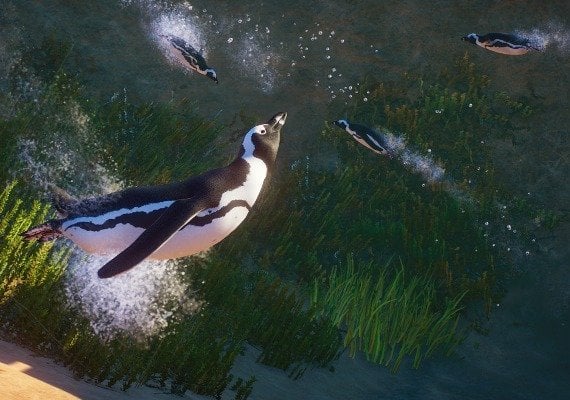 Planet Zoo - Africa Pack DLC Global screenshot 4