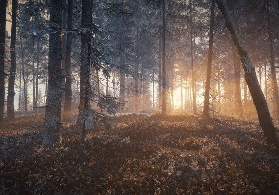 theHunter: Call of the Wild - Medved-Taiga DLC EU screenshot 3