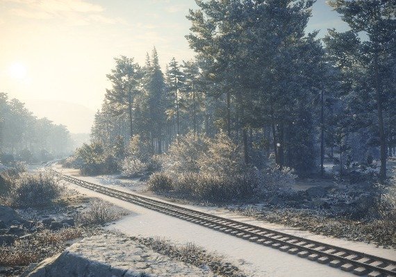 theHunter: Call of the Wild - Medved-Taiga DLC EU screenshot 4