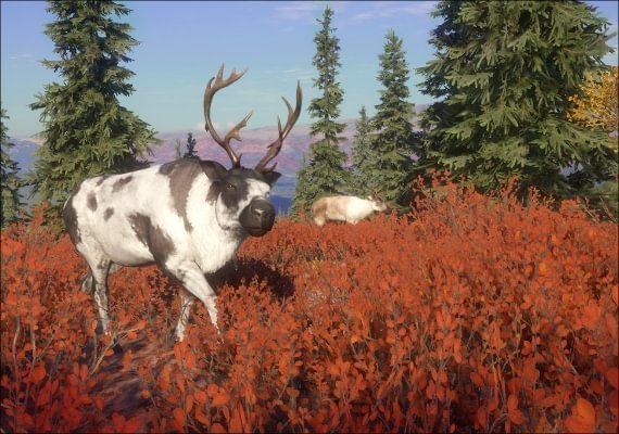 theHunter: Call of the Wild - Yukon Valley DLC Global screenshot 2