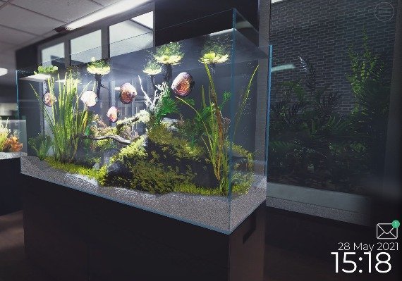 Aquarist EN EU screenshot 2