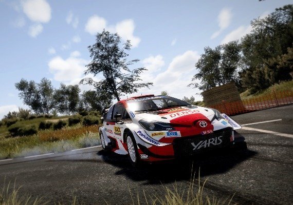 WRC 10: FIA World Rally Championship Deluxe Edition EU screenshot 2