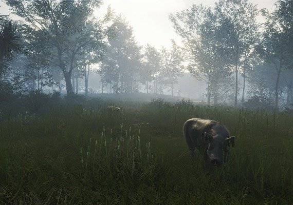 theHunter: Call of the Wild - Te Awaroa National Park DLC EN EU screenshot 3