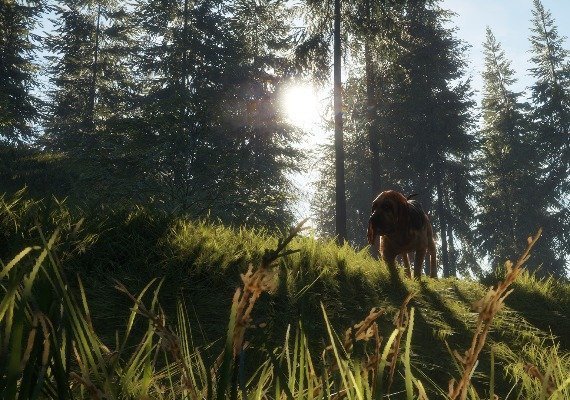 theHunter: Call of the Wild - Bloodhound DLC Global screenshot 3