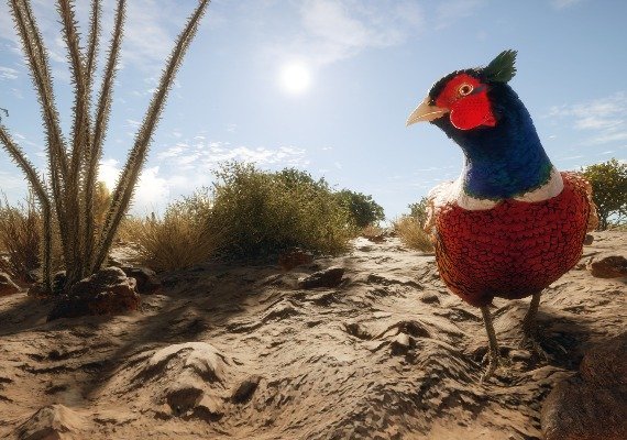 theHunter: Call of the Wild - Rancho del Arroyo DLC EN EU screenshot 3