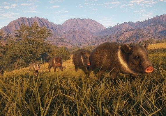 theHunter: Call of the Wild - Rancho del Arroyo DLC EN EU screenshot 4