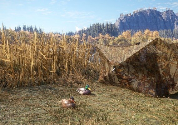 theHunter: Call of the Wild - Duck and Cover DLC Global screenshot 3