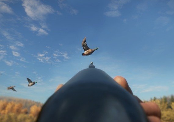 theHunter: Call of the Wild - Duck and Cover DLC Global screenshot 4