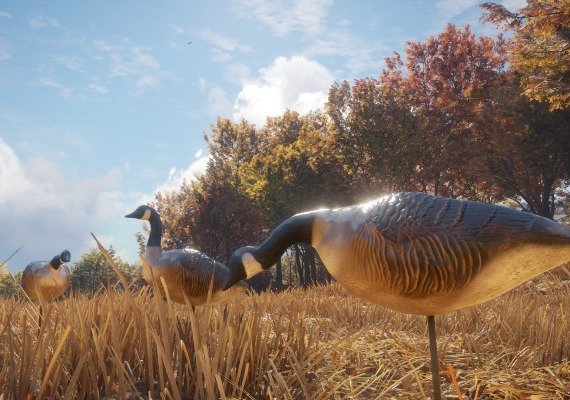 theHunter: Call of the Wild - Wild Goose Chase Gear DLC Global screenshot 4