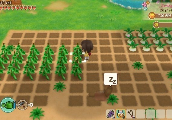 Story of Seasons: Friends of Mineral Town EN/DE/FR/JA/KO/ZH/ES/ZH United States screenshot 3