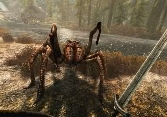 The Elder Scrolls V: Skyrim VR EU screenshot 3
