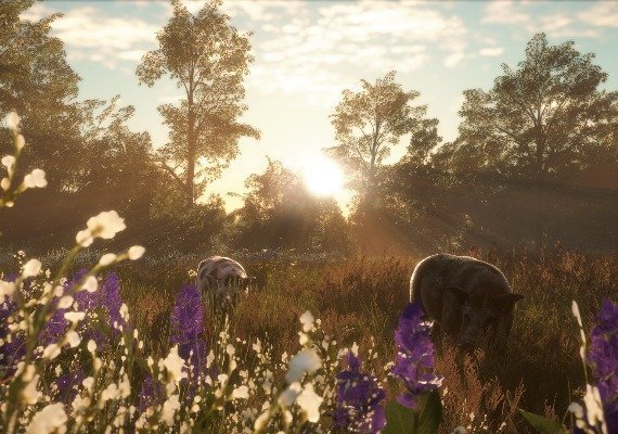 theHunter: Call of the Wild - Mississippi Acres Preserve DLC Global screenshot 2