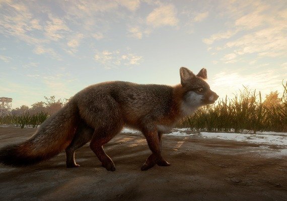 theHunter: Call of the Wild - Mississippi Acres Preserve DLC Global screenshot 4