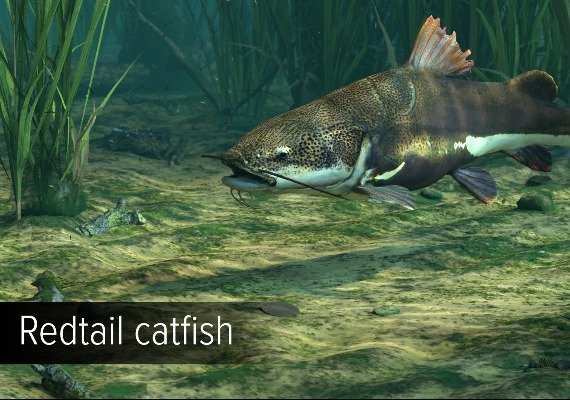Ultimate Fishing Simulator - Amazon River DLC Global screenshot 3