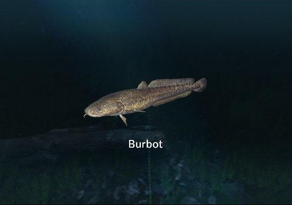 Ultimate Fishing Simulator - New Fish Species DLC Global screenshot 3