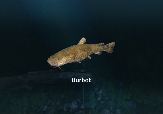 Ultimate Fishing Simulator - New Fish Species DLC Global screenshot 4