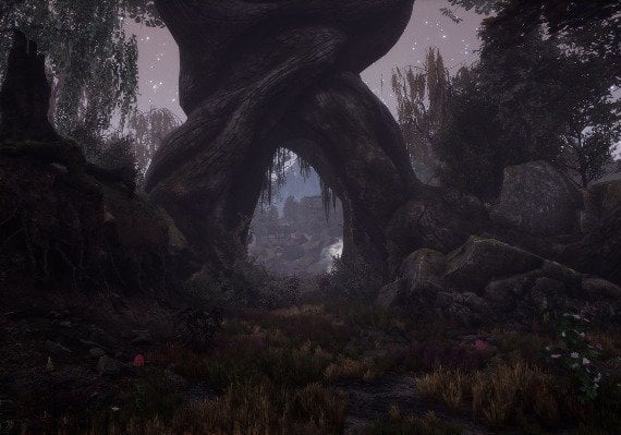 The Dead Tree of Ranchiuna EN Argentina screenshot 3