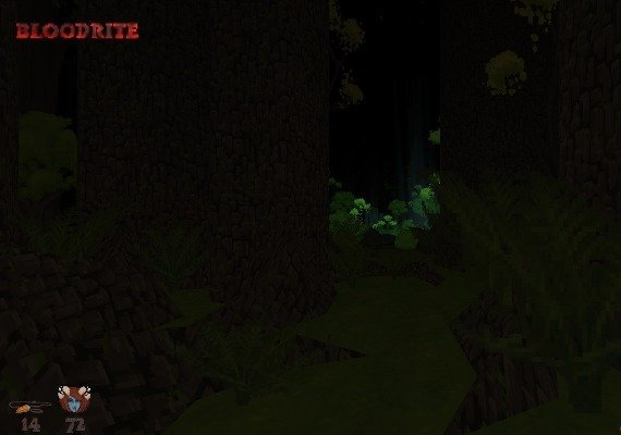 Hedon Bloodrite EN Global screenshot 4