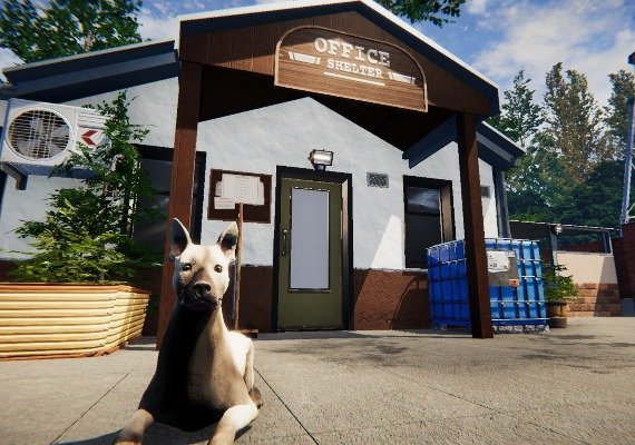 Animal Shelter Global screenshot 2