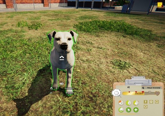 Animal Shelter Global screenshot 4