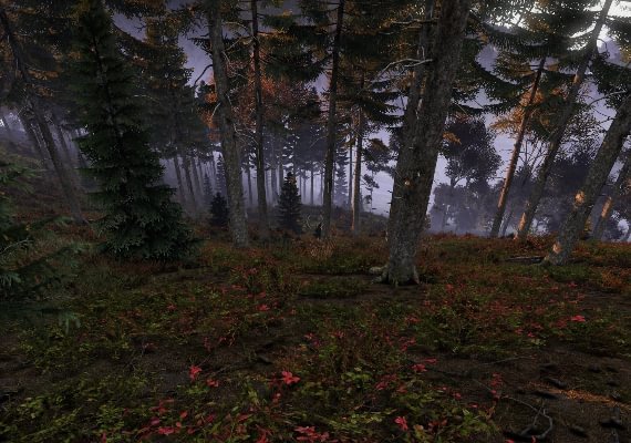 DayZ EN EU screenshot 3