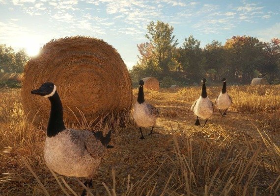 theHunter: Call of the Wild - Silver Bundle EN/DE/FR/IT/PT/ES Global screenshot 3
