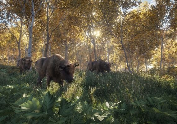 theHunter: Call of the Wild - Starter Bundle EN/DE/FR/PT/RU Global screenshot 2