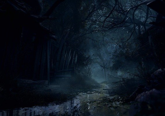 Resident Evil 4 - Remake EU screenshot 3