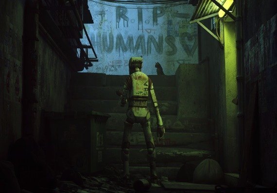 Stray Global screenshot 2