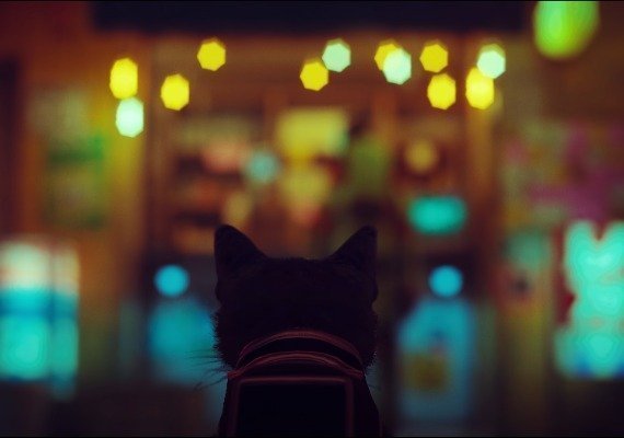 Stray EU screenshot 4