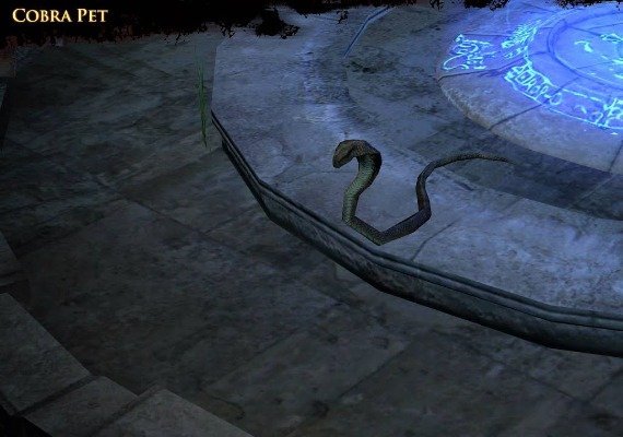 Path of Exile - Arctic Crown + Cobra Pet Bundle DLC EN/DE/FR/PT/RU/ES/TH Global screenshot 3