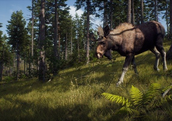 Way of the Hunter EN Argentina screenshot 2