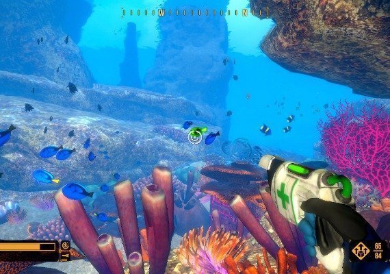 Deep Diving Adventures Argentina screenshot 2