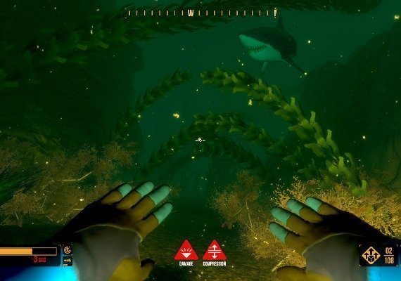 Deep Diving Adventures Argentina screenshot 3