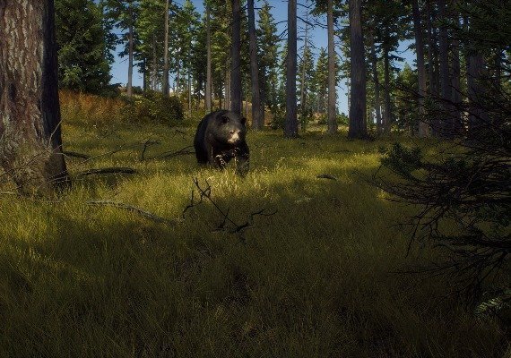 Way of the Hunter Global screenshot 3
