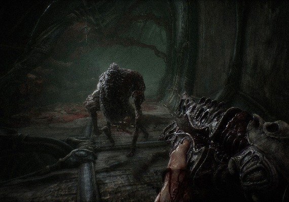 Scorn Deluxe Edition Turkey screenshot 4