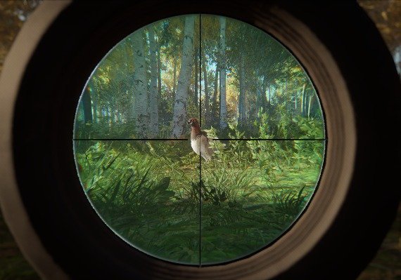theHunter: Call of the Wild - Revontuli Coast DLC Global screenshot 3