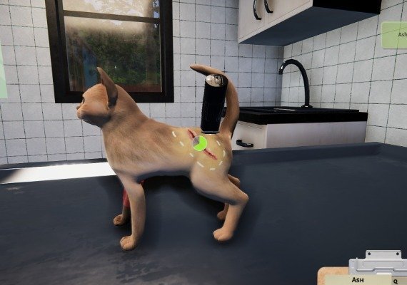 Animal Shelter: Puppies and Kittens  DLC Global screenshot 2