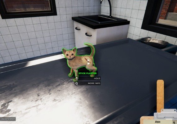 Animal Shelter: Puppies and Kittens  DLC Global screenshot 4