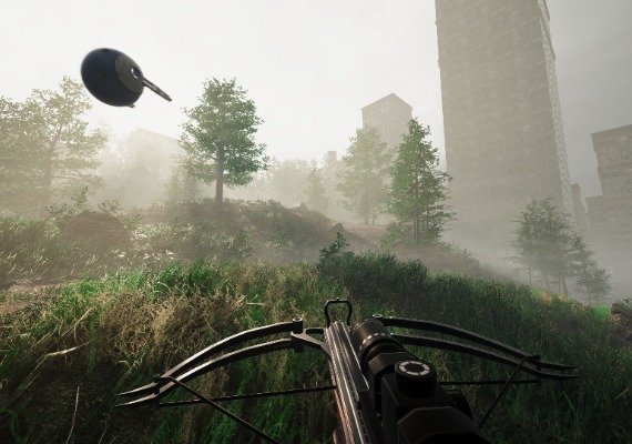 Remoteness EN Argentina screenshot 2