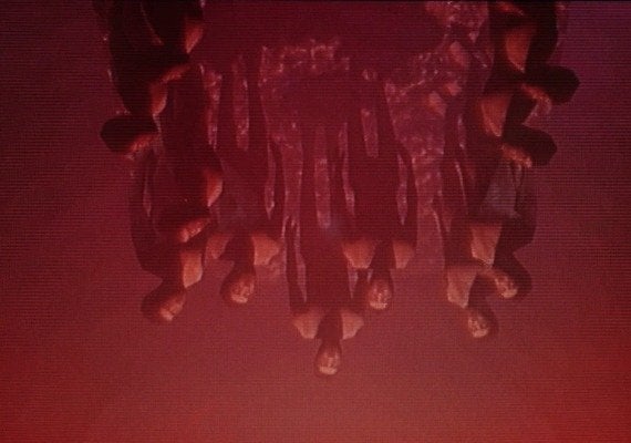 The Fridge is Red Global screenshot 2