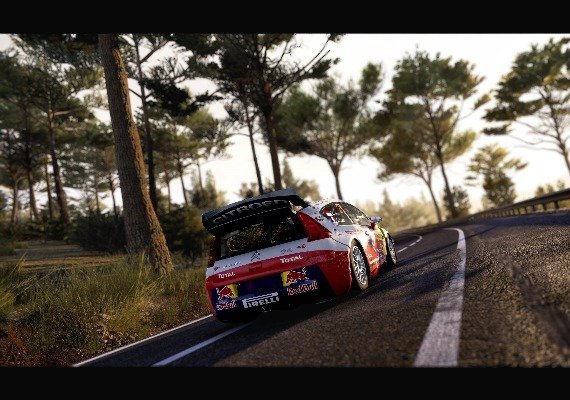 WRC: Generations - Citreon C4 WRC 2010 DLC Global screenshot 4